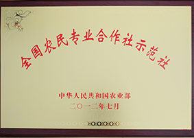 全國農民專業合作社示范社